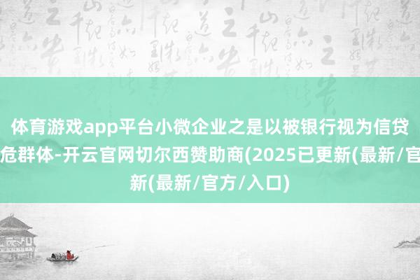 体育游戏app平台　　小微企业之是以被银行视为信贷风险的高危群体-开云官网切尔西赞助商(2025已更新(最新/官方/入口)