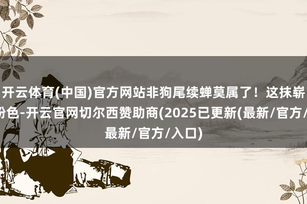 开云体育(中国)官方网站非狗尾续蝉莫属了！这抹崭新的粉色-开云官网切尔西赞助商(2025已更新(最新/官方/入口)