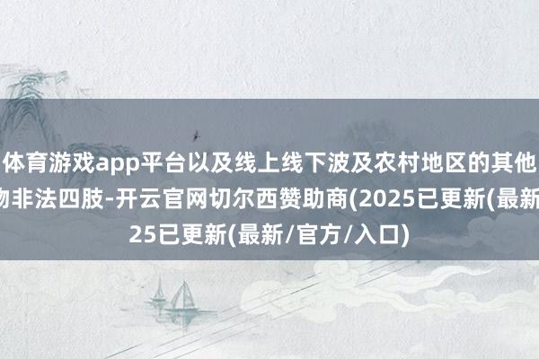 体育游戏app平台以及线上线下波及农村地区的其他假冒伪劣食物非法四肢-开云官网切尔西赞助商(2025已更新(最新/官方/入口)