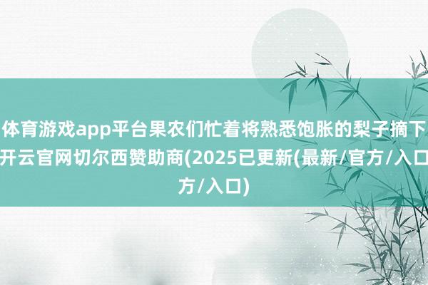 体育游戏app平台果农们忙着将熟悉饱胀的梨子摘下-开云官网切尔西赞助商(2025已更新(最新/官方/入口)